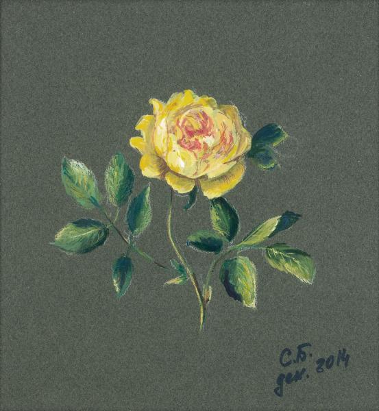 Александра Батяева. Рисунок розы